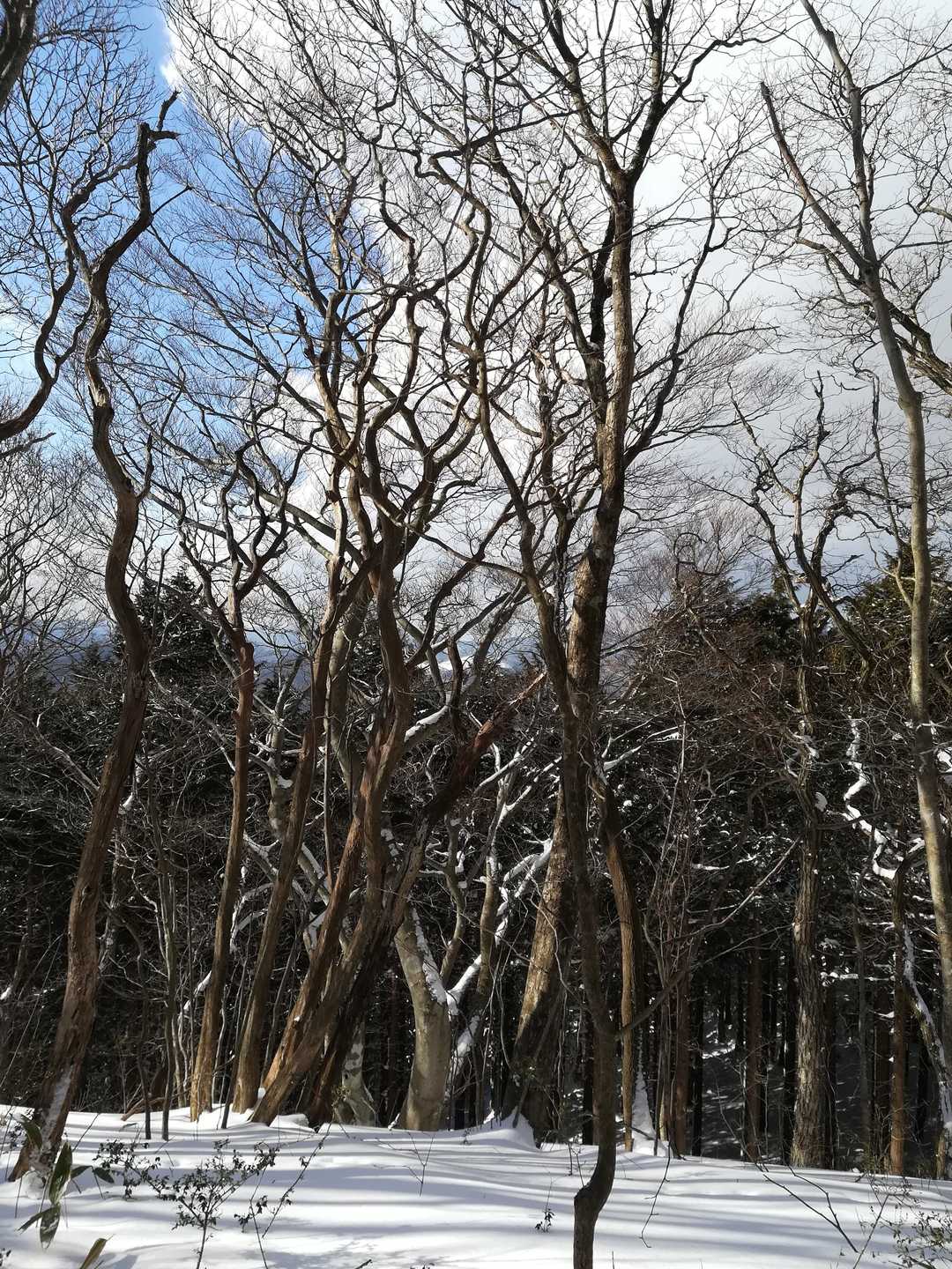 山頂の眺望。🎶
晴れてて最高😃⤴️⤴️