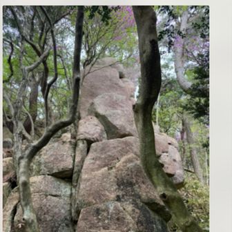 ツルギさん。。。登りたいけど
怒られるなぁ

なんでやー　スクショになってる
スタンプいただいてるので
このままにしておこう。