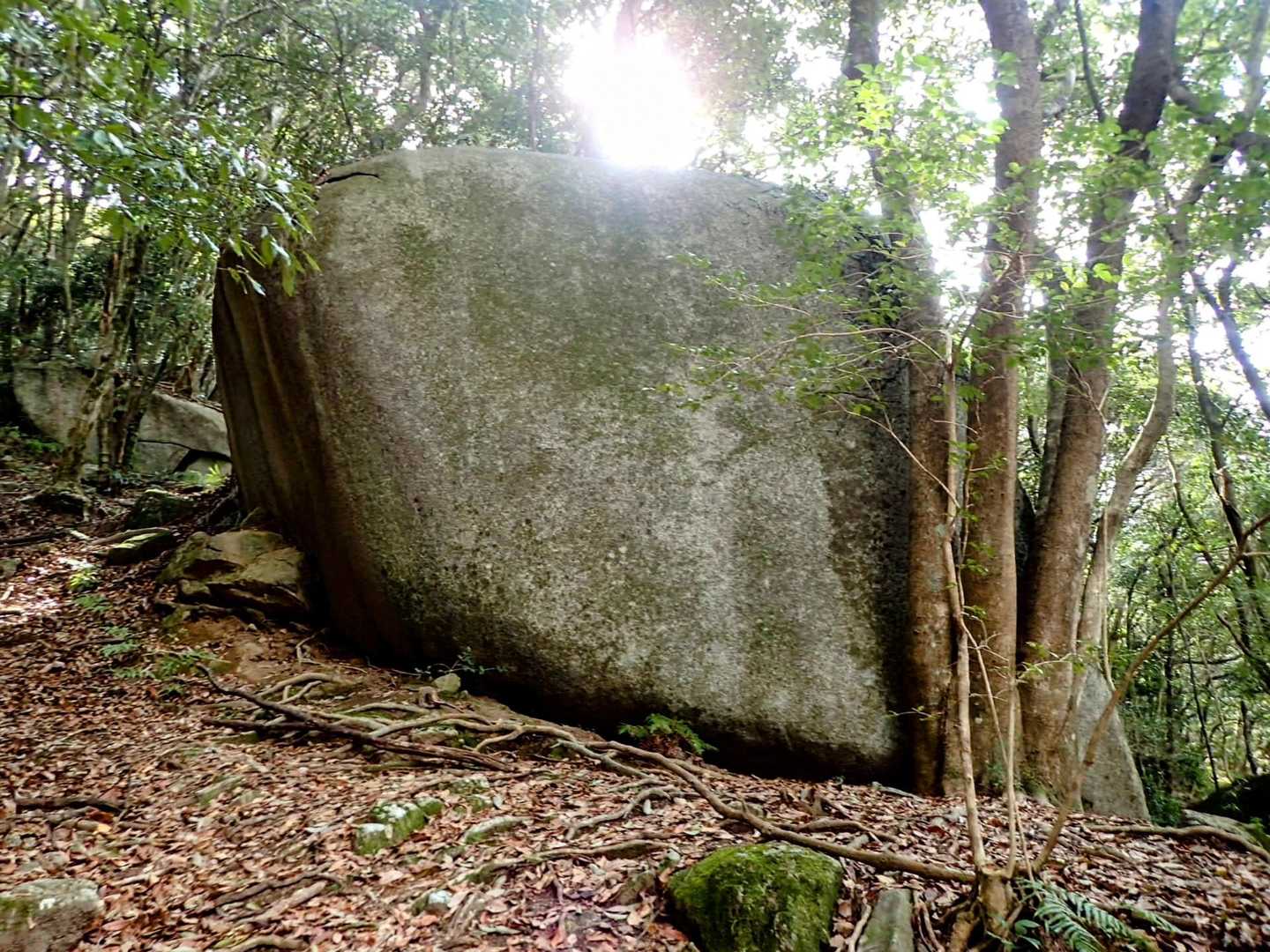 神頭石