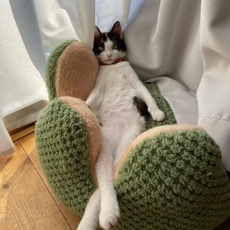 うたんま