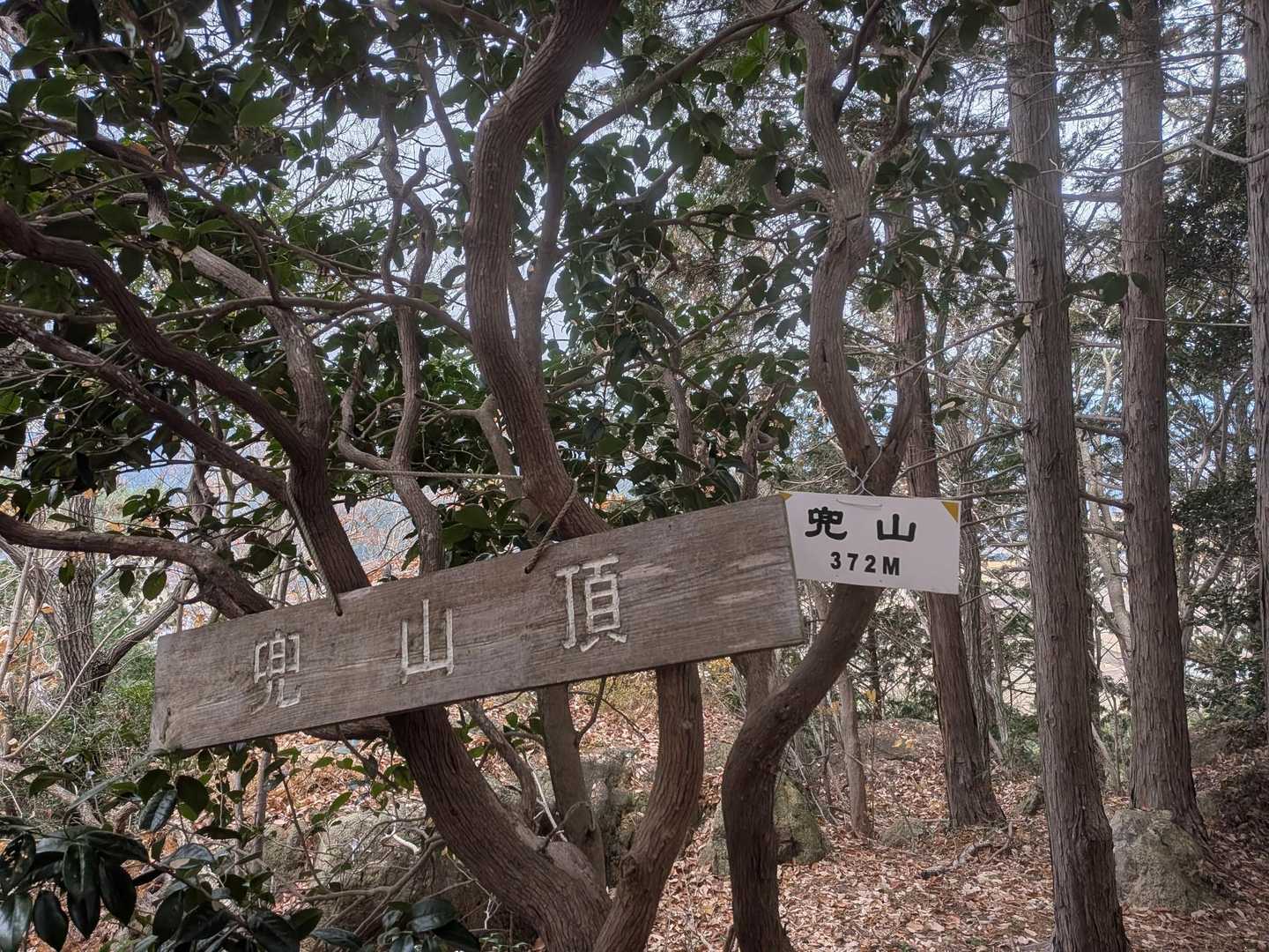 子どものもり公園登山口-本山-飯盛山-高舘山-黒戸山-中徳 周回コースの写真
