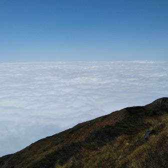 シャンパーニャ