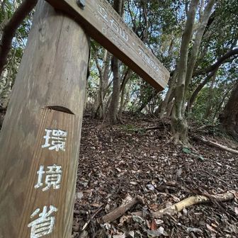 ここから登山道だっ