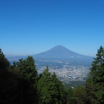 この画像がマイクロフォーサーズテレ端側の14ｍｍです。