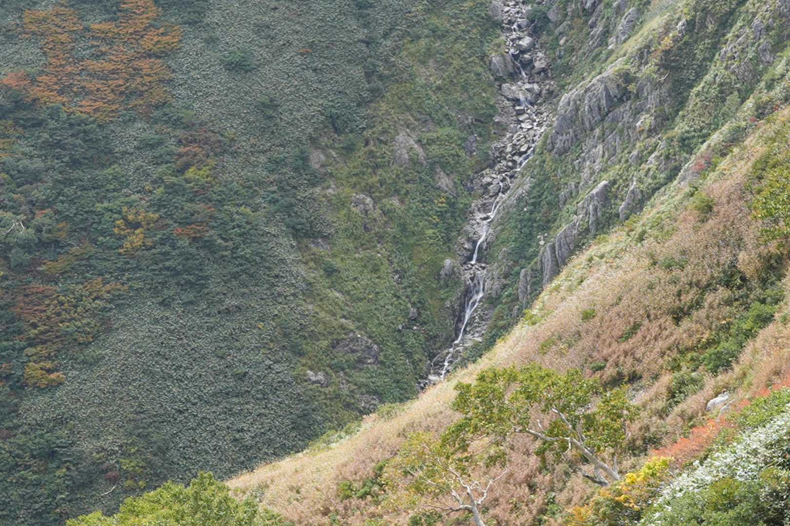 古寺鉱泉登山口-古寺山-大朝日岳-小朝日岳-鳥原山-畑場峰 周回コースの写真
