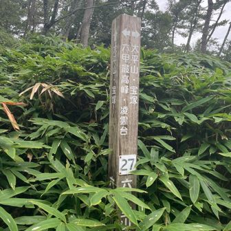 水無山 通過〜🙌
道標が立ってるだけの山頂や峠も多い
今回はしっかり予習して、ズルピーハンできる山(5座)はオールズルしてます😛