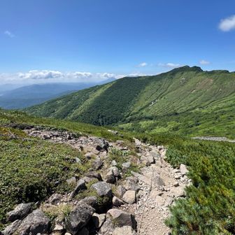 キレイ！
だがここまで下山は、
あっという間、、
悲しい😭

あとは、ロングゆるゆる登山道、、
暑くて撃沈💦
残り一時間足売り切れにて
トコトコおじさんに💦