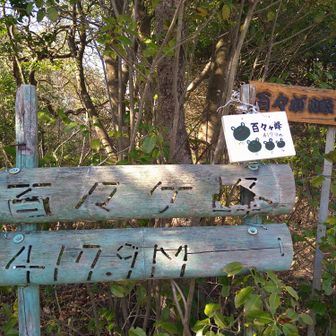百々ヶ峰山頂
最初はお昼時だったから人が多かったが2回目のは他の登山者お1人のみでした。こういう点はいつでも賑わう金華山と違いますねぇ。