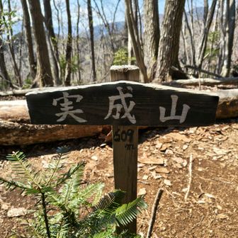 実成山