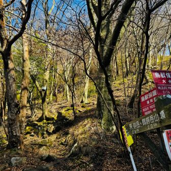 ここに下りてきました。