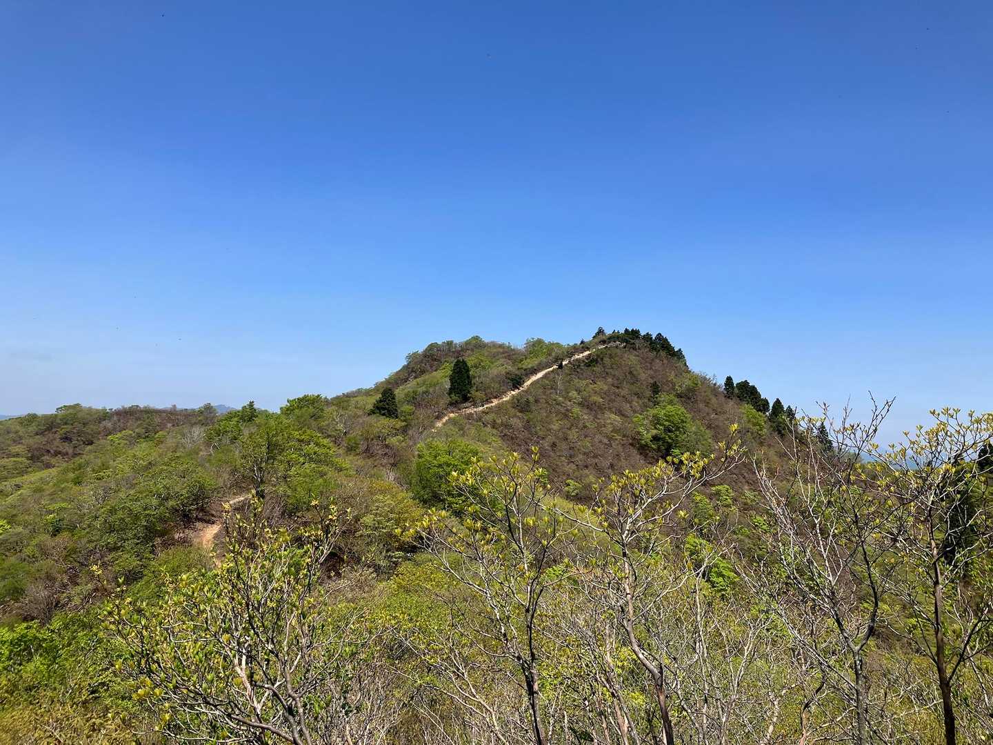 結構な登り道