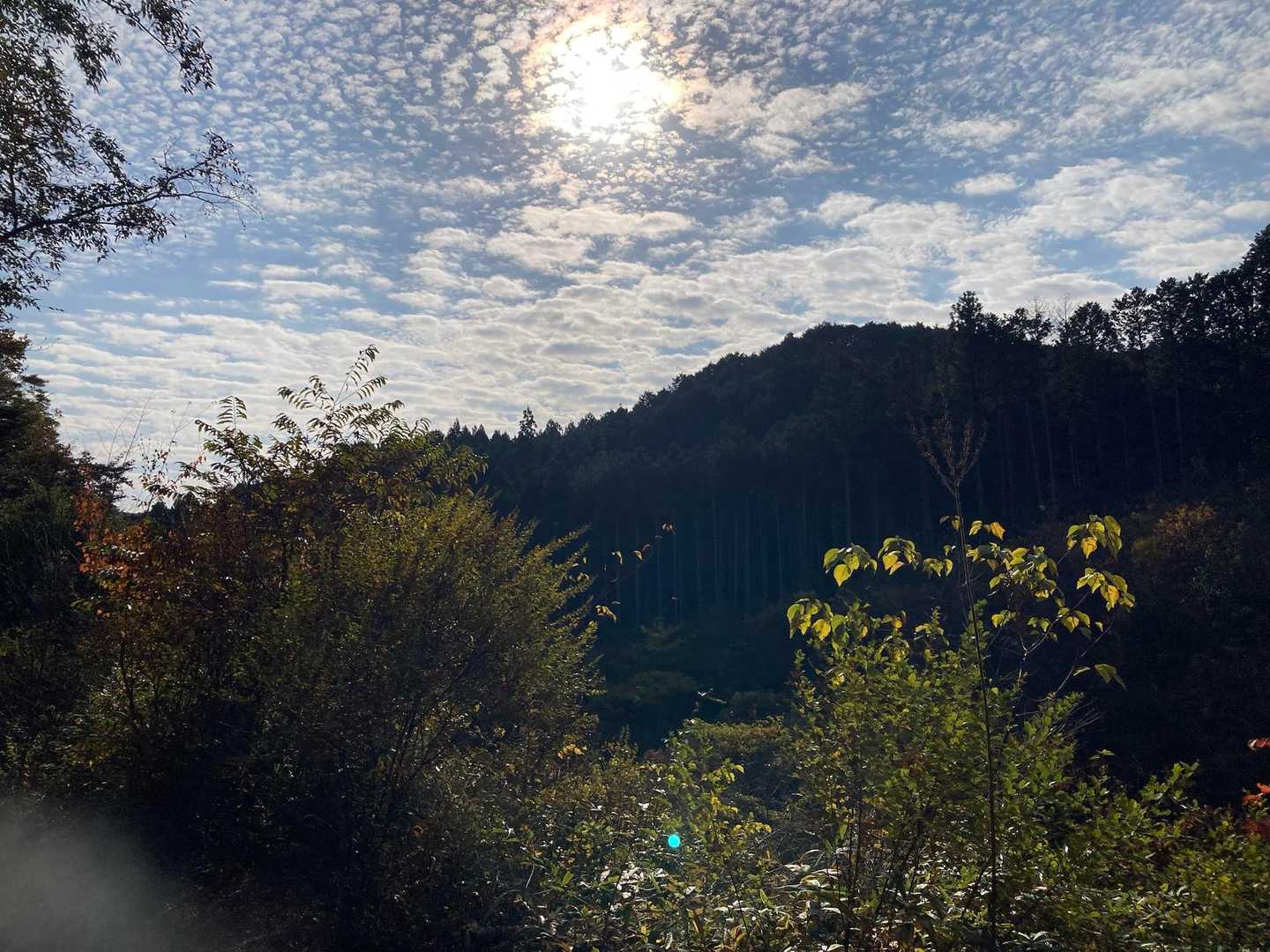 鍋足山 往復コースの写真
