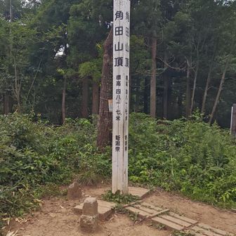 山頂着きましたよ