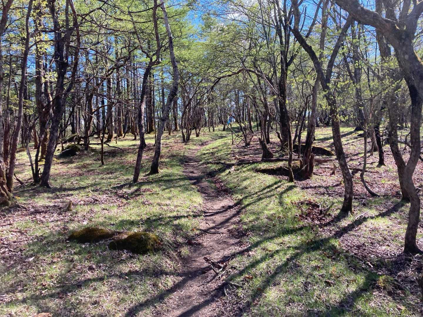 古峰ヶ原〜方塞山は歩きやすく、景色も目を楽しませてくれます