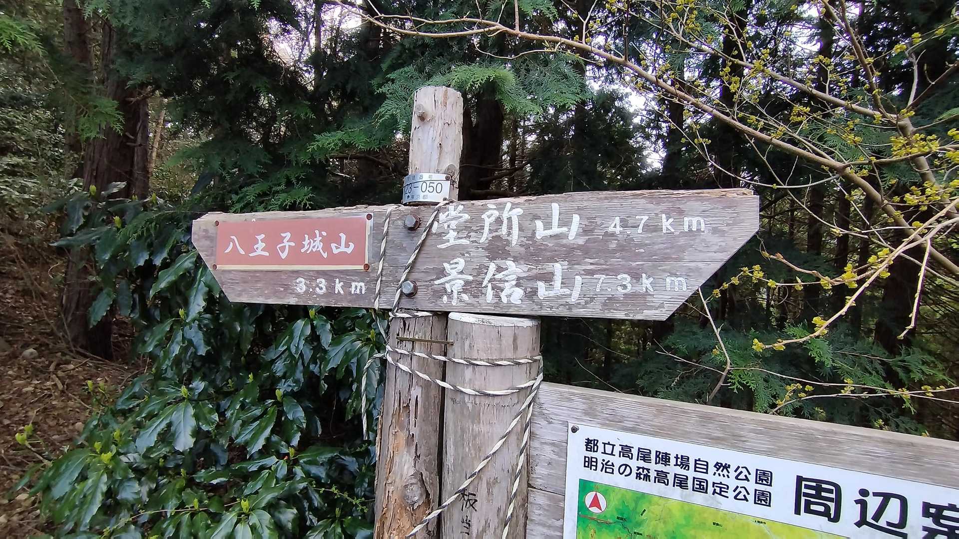 ①「登りと下りで使う筋肉が異なり、交互に使うことで疲労を感じる。同じ筋肉を使い続けた方が慣れて楽に感じる。」  うんうん、実感でわかる(>_<｡)