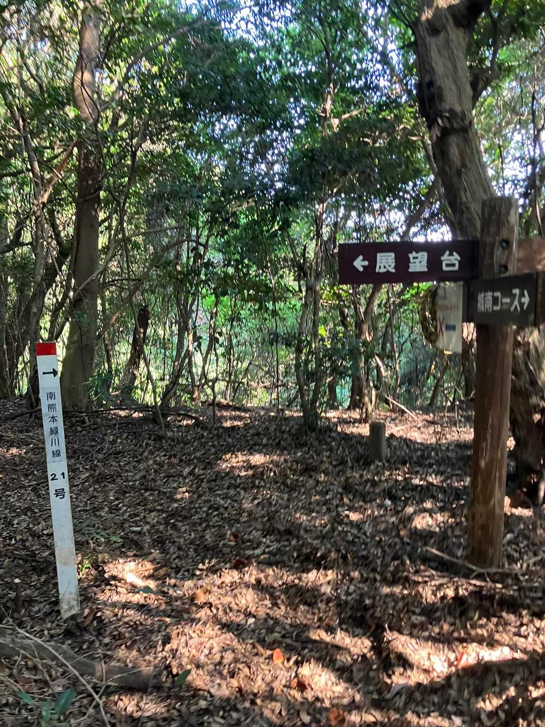 展望台方向へ…🚶💦

この先で　ちょっと道を見失い　地図🗺️見ながら　東阿高ｺｰｽの登山道へ向かって歩けるところを…🚶💦