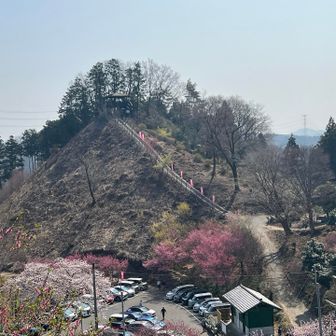 道路を歩く。大内山と展望台方面。