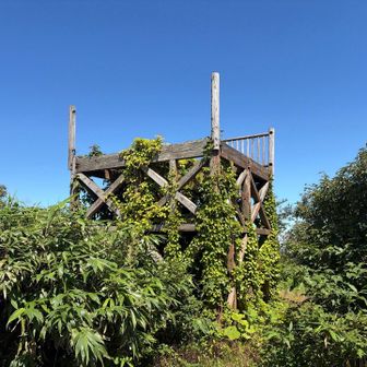 ここに登ると岩手山などが見えるらしい。
残念😢