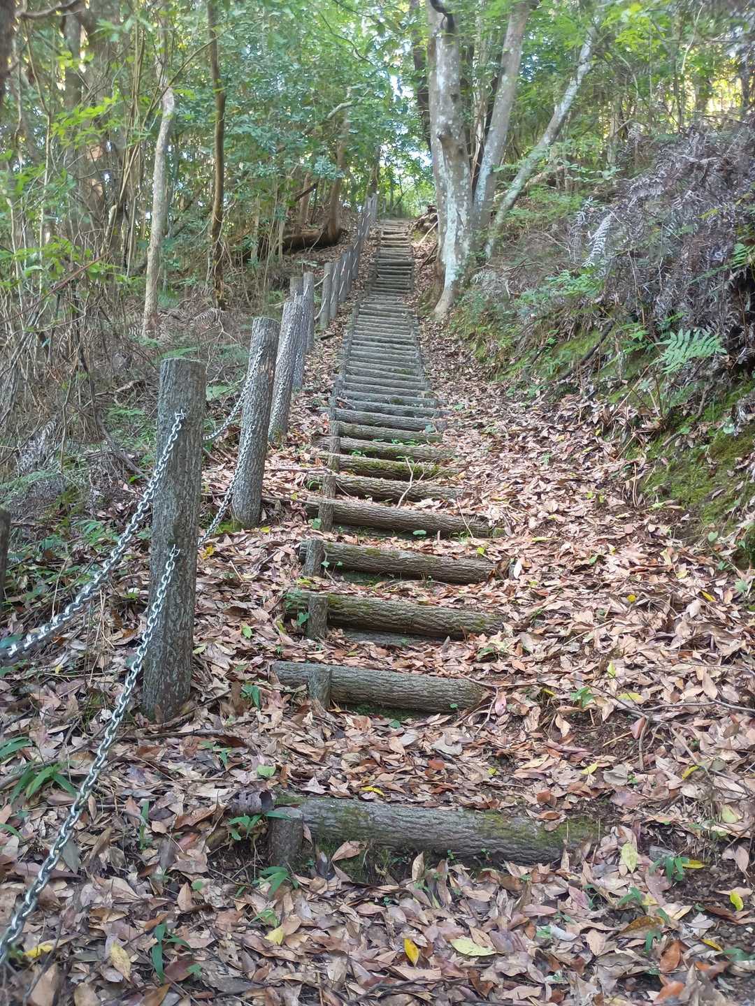 ずっとこの階段💦