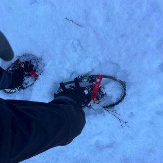 改良品　前空きすぎ　