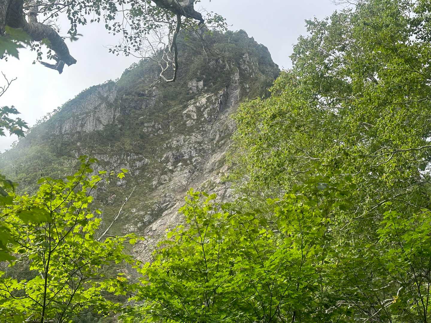 木の間から、険しい岩峰が見えてきて、アレ登るのか？？と面食らう