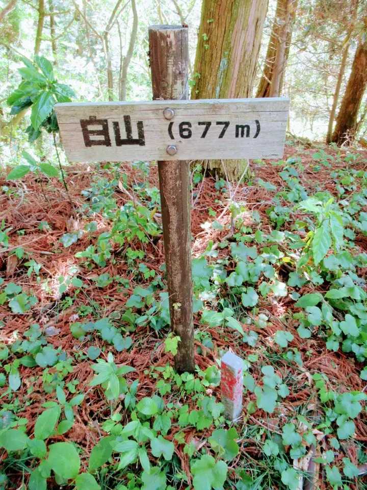 白山の写真
