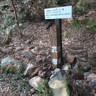 武者溜。ここにも水道あり。