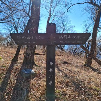 小丸
山頂標識あったのでしょうか？
ちょっと見つけられず