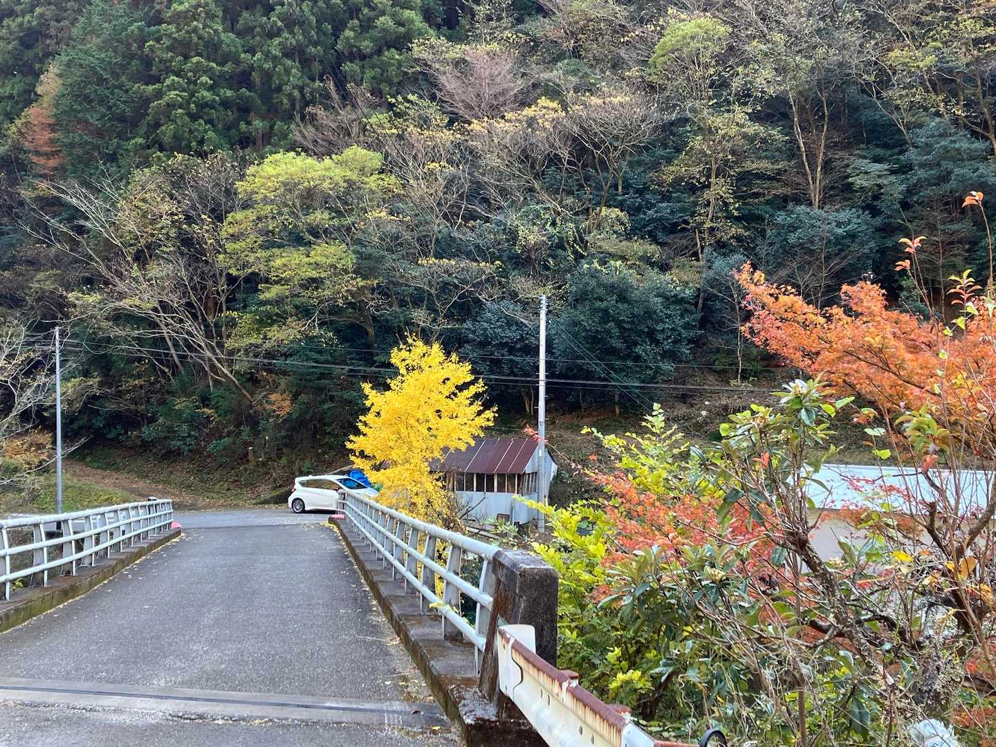 駐車場まで戻ってます
途中イチョウがきれいでした💛