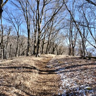 少しだけ雪がありましたが登山道には影響なしでした。