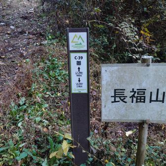 鳥居を抜けてすぐ右手に長福山の登り口