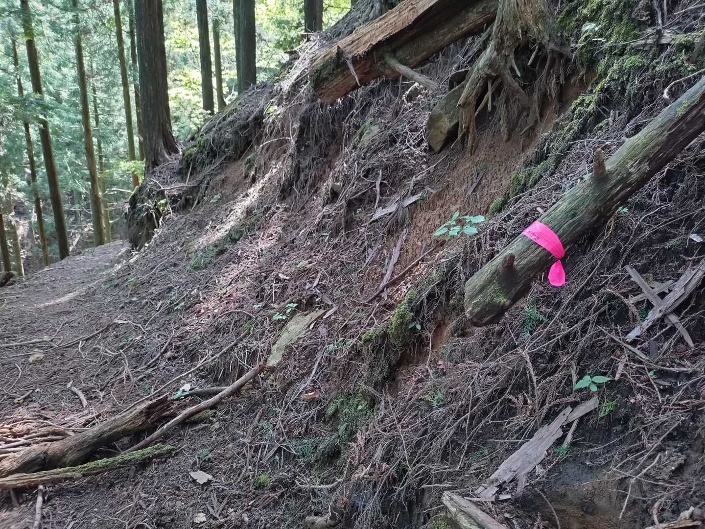 ⚠️真っすぐにいきそうになりますね