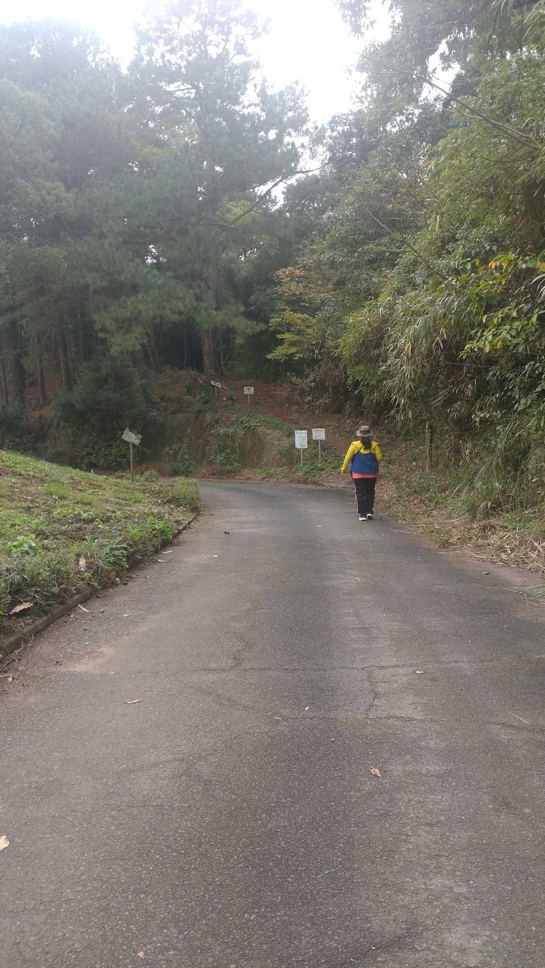 今回は雁回公園から⤴️