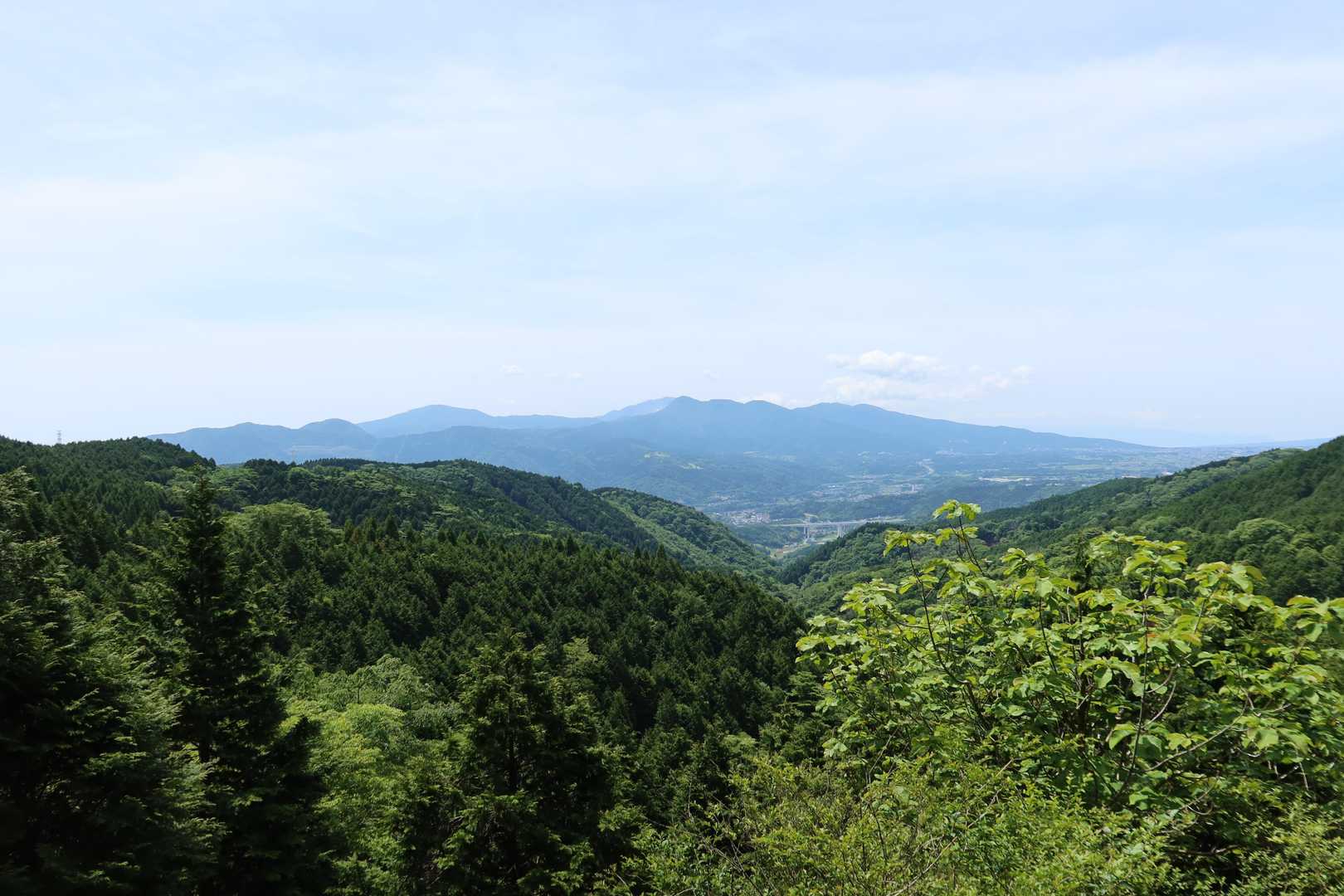明神峠-明神山-湯船山-白クラノ頭-峰坂峠-サンショウバラ 縦走コースの写真