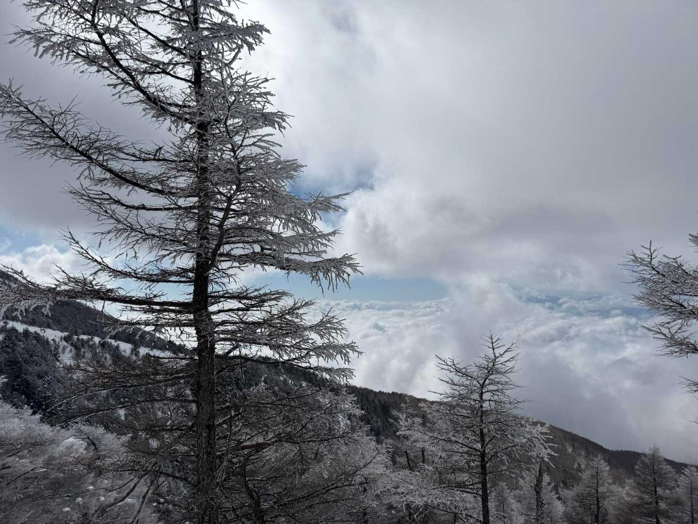 遠くに雲海☁️