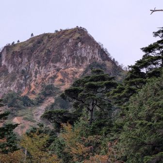 金精山です。岩山です
