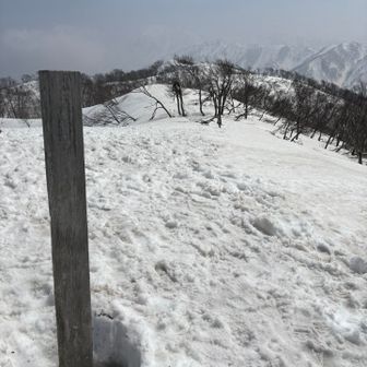 黒菱山に
戻って来ました！