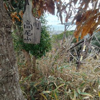 安心する山頂プレート(笑)