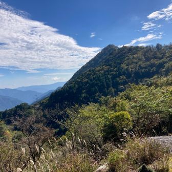 峠までおりてきました

峠からは1274ピーク(山名なし)が見えています
遠い気がしてきました。とりあえずあそこまで…(๑•̀ •́)و✧