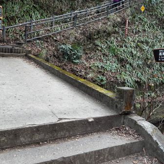 稲荷山方面から登る時は
ここからね➡️