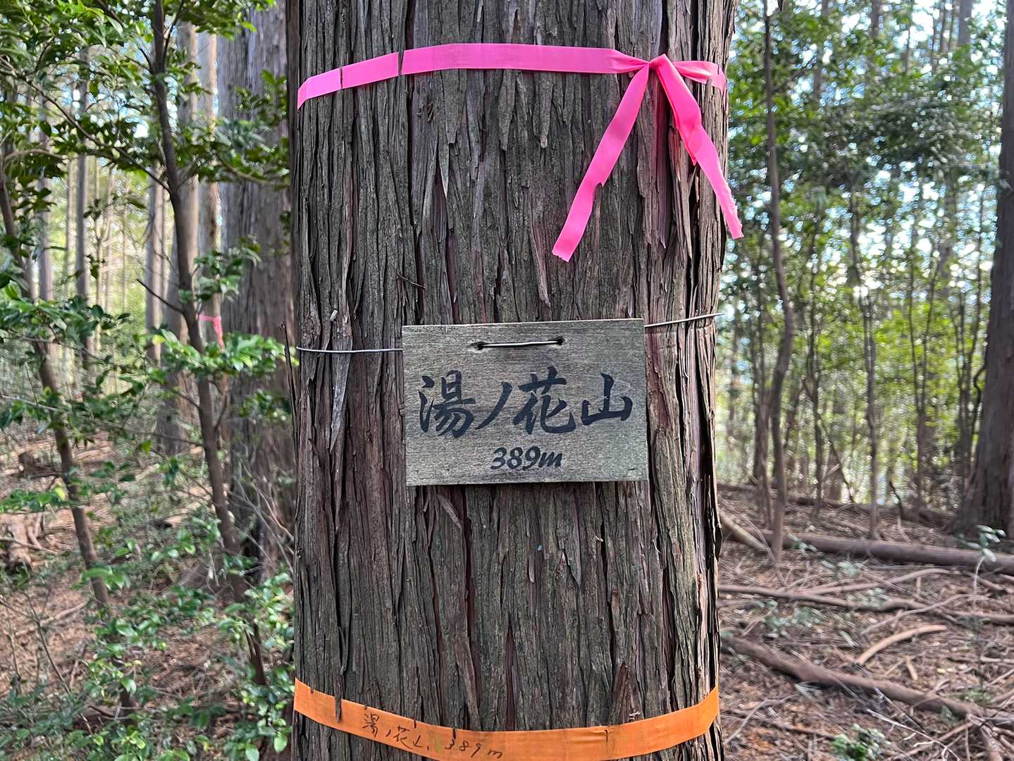 湯ノ花山⛰ 飯百その7