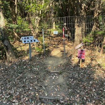 ここまでで、トレイルは終わり。あとは舗装路歩きです。