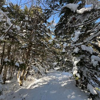 ぐるりと巻くように戻ります

