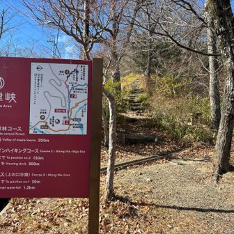 ここやここや。
って、階段みて引き返そ思ったけど、頑張って進む😭