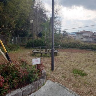 ここの公園から行きました