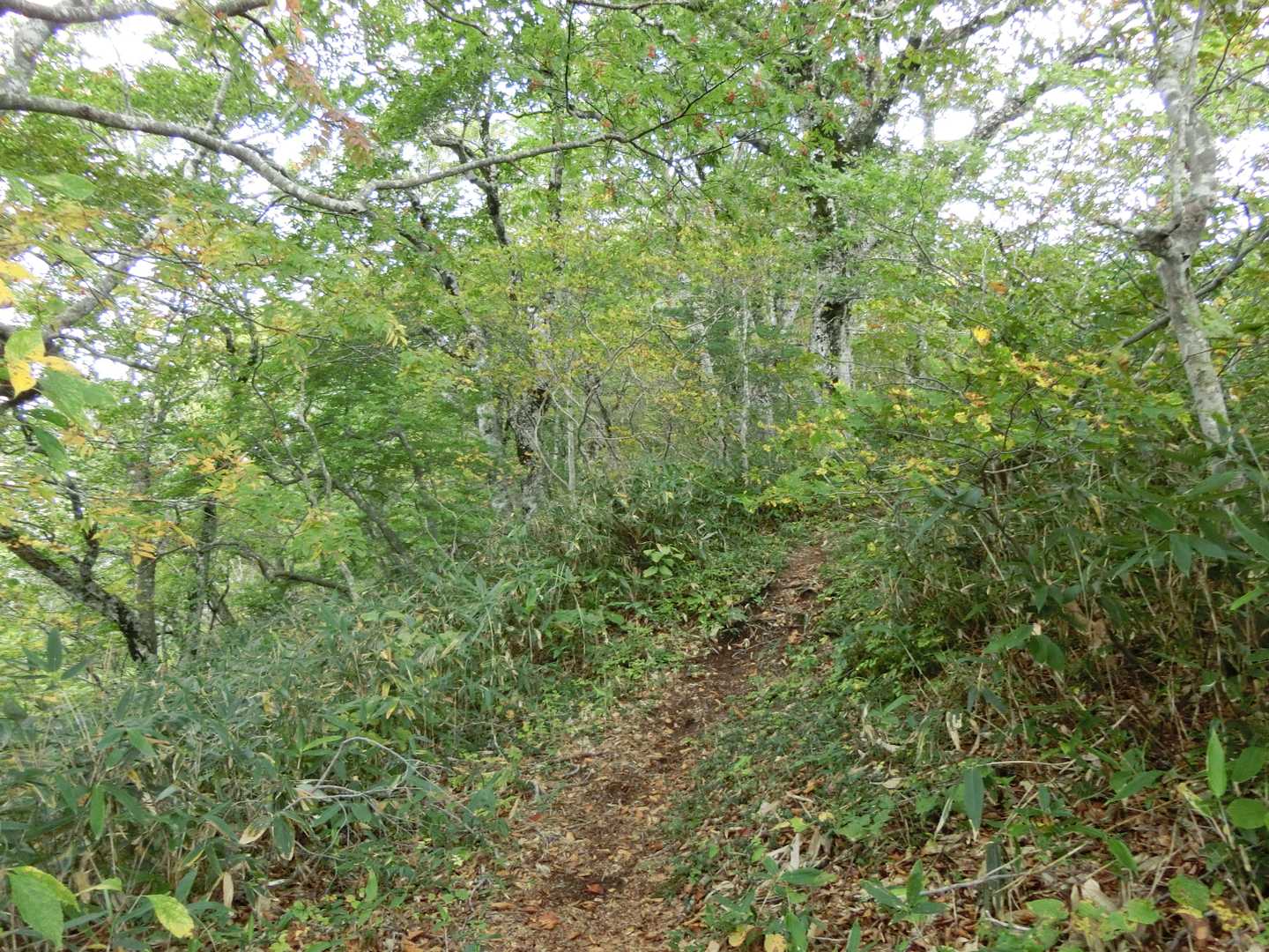 本日、他に見た登山者は4組7名。