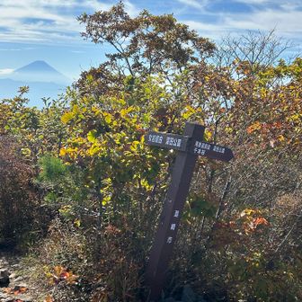 半時計回り、右ルートで降りる