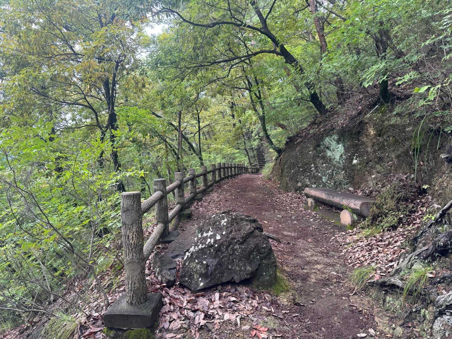 市民に愛されている山ですね。