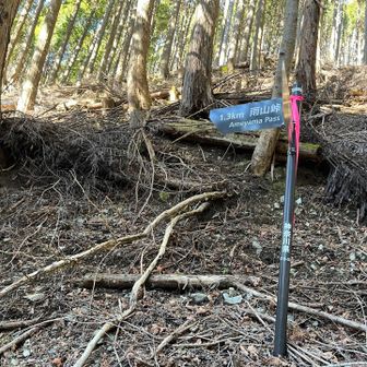 片側が切れた箇所はあるが、問題ナシ