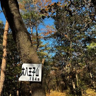 ルートがたくさんあるので、
多少ミスっても戻れます。
(登り返す事になりますが)